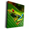 3dRose Sven Herkenrath Reptile - Green Exotic Reptile Frog - Museum Grade Canvas Wrap (cw_236640)