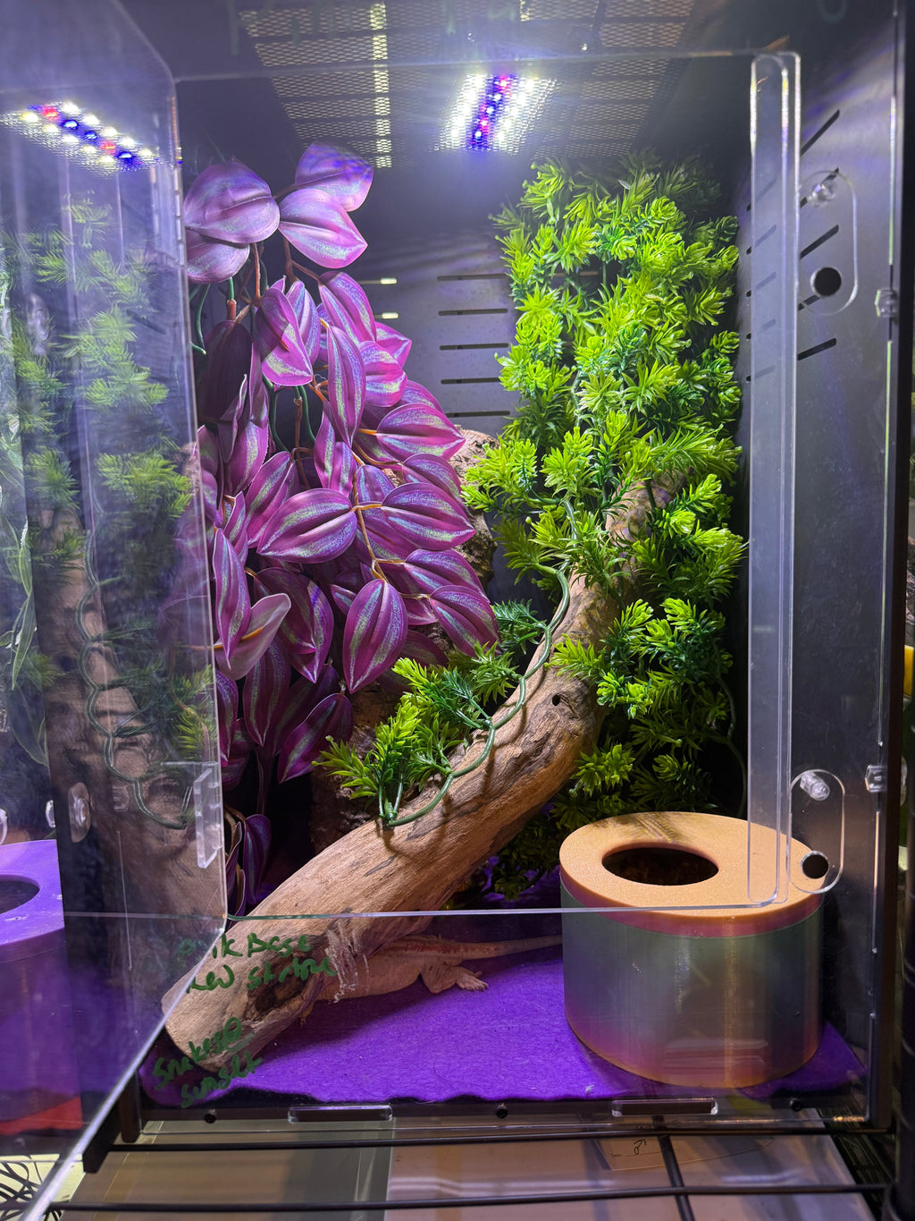 PVC Enclosure with magnetic locking door