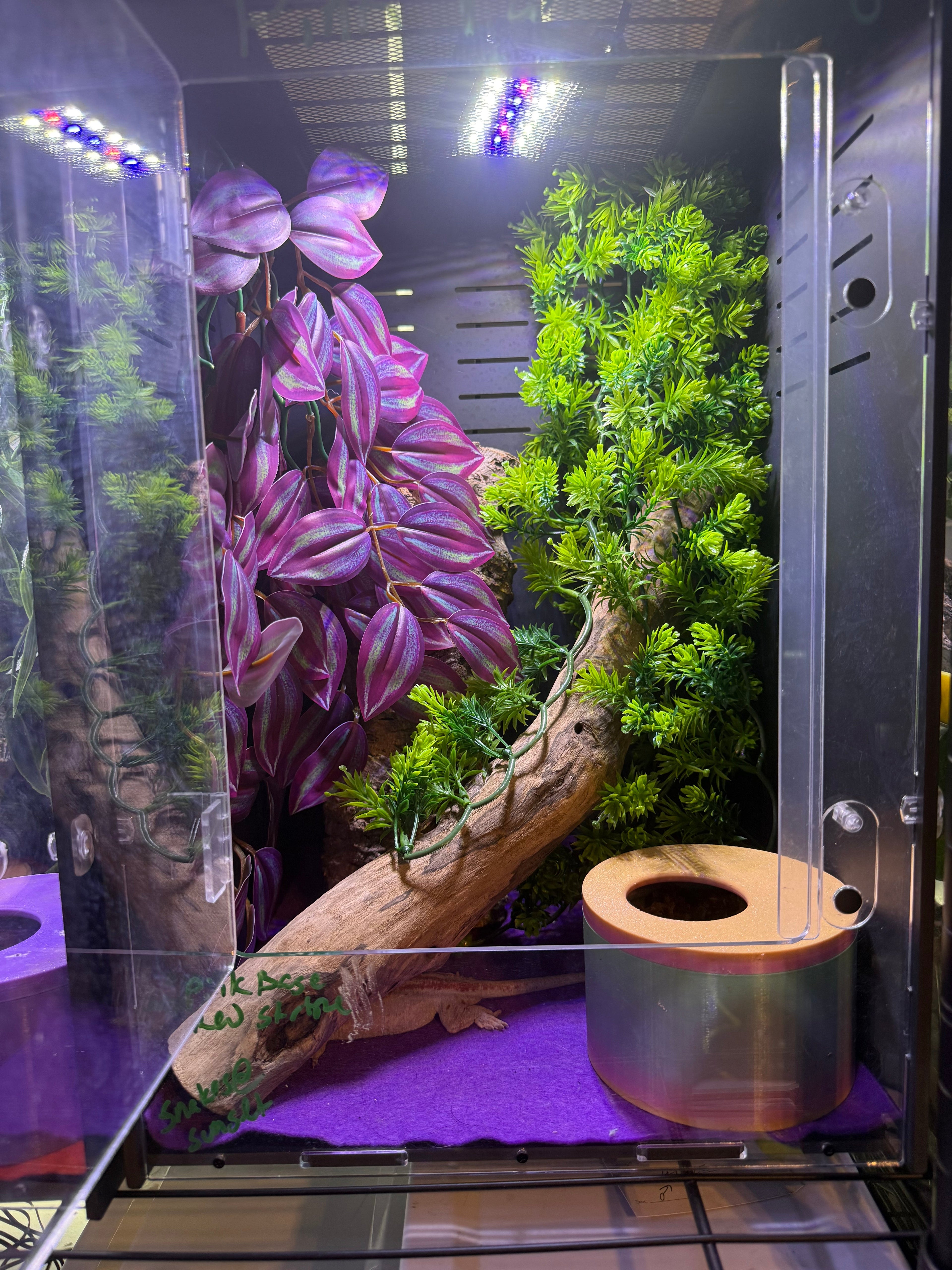 PVC Enclosure with magnetic locking door