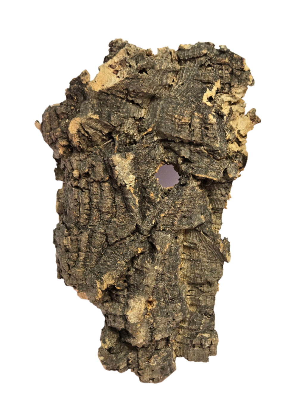 Cork Bark